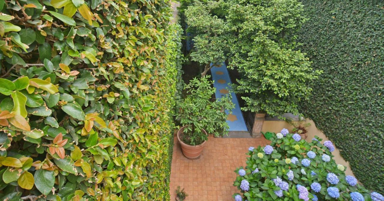 B&B Di Charme Camelie Palazzo Nicotra Riposto Exteriér fotografie